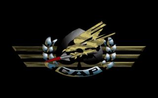combat air patrol